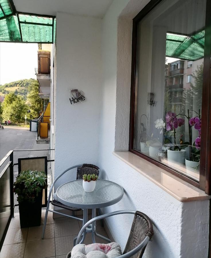 Ferienwohnung Joy Apartman Sovata Exterior foto